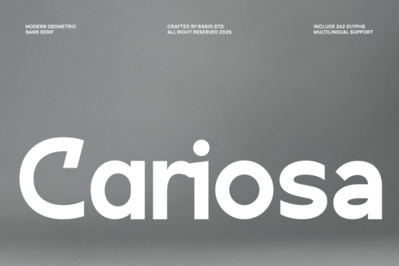 Cariosa: Command Your Canvas with Geometric Precision